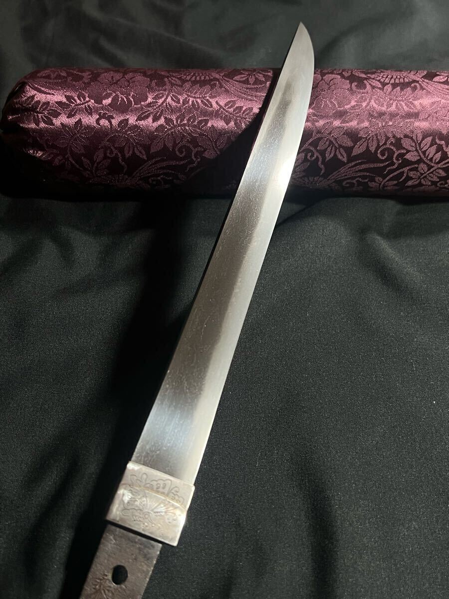 重要刀剣候補 特別保存刀剣 短刀 備州長船祐定作 永禄七年二月日 池田家伝来 大名登録 健全無比な備前刀 日本刀 古刀_5