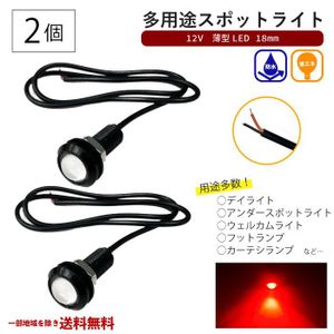 スポットライト レッド 12V 超小型 丸型 LED 18mm 赤 防水仕様 ブラックボディ 2個 セッ