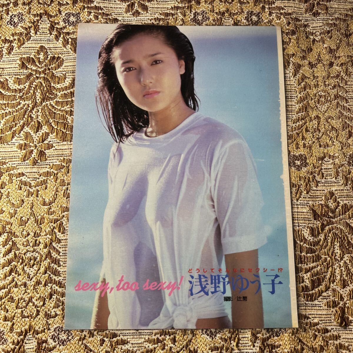 厚手ラミネート加工》浅野ゆう子 20歳 貴重グラビア 切り抜き 4P B5