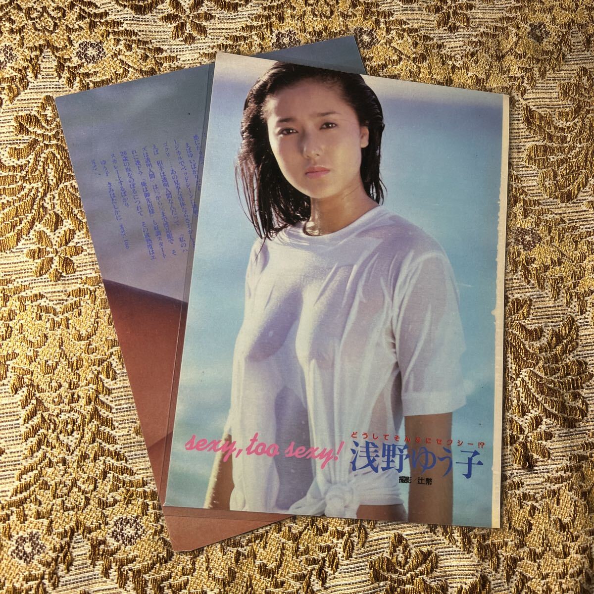 浅野ゆう子　写真集　ポスター　切り抜きセット 厚手ラミネート加工》浅野ゆう子 20歳 貴重グラビア 切り抜き 4P B5