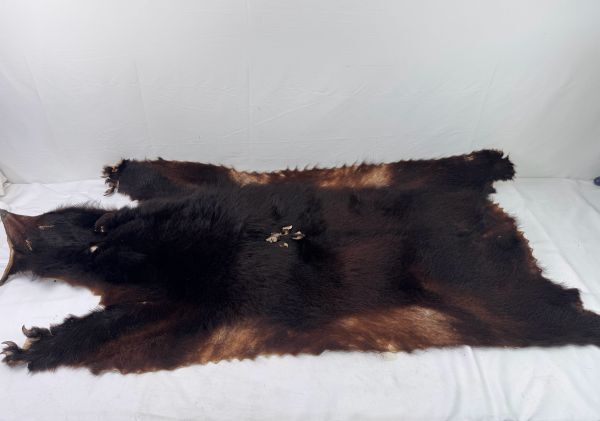 熊 敷物の値段と価格推移は？｜8件の売買データから熊 敷物の価値が