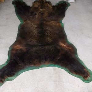 ツキノワグマ　毛皮ラグマット　希望価格受付ます 熊 敷物の値段と価格推移は？｜6件の売買データから熊 敷物の価値が