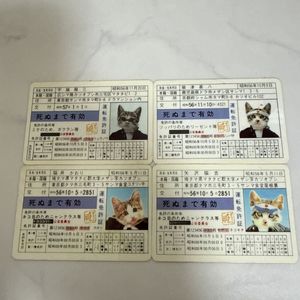 なめ猫 カードの値段と価格推移は？｜34件の売買データからなめ猫