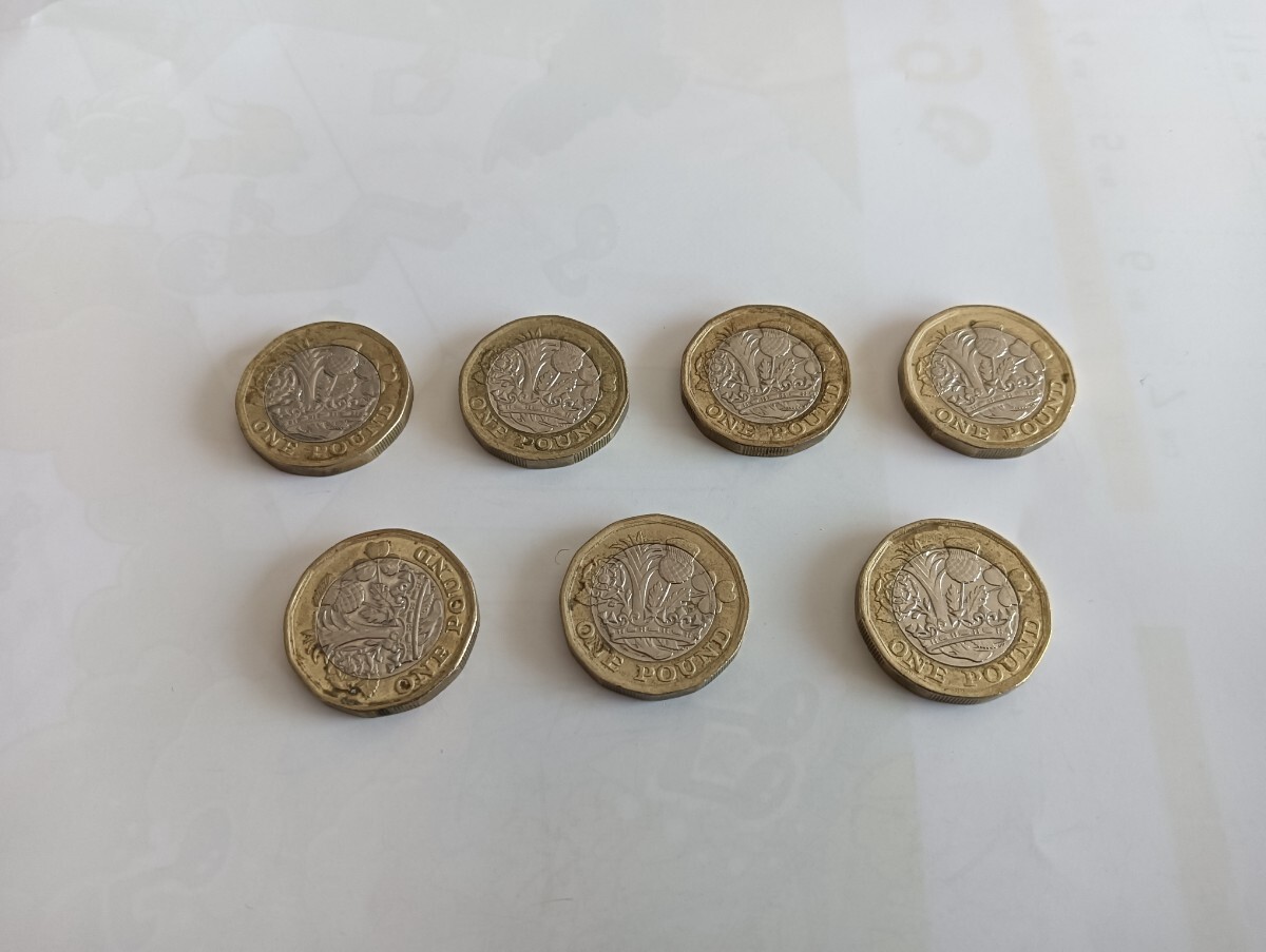 イギリス1ポンド硬貨の値段と価格推移は？｜4件の売買データから