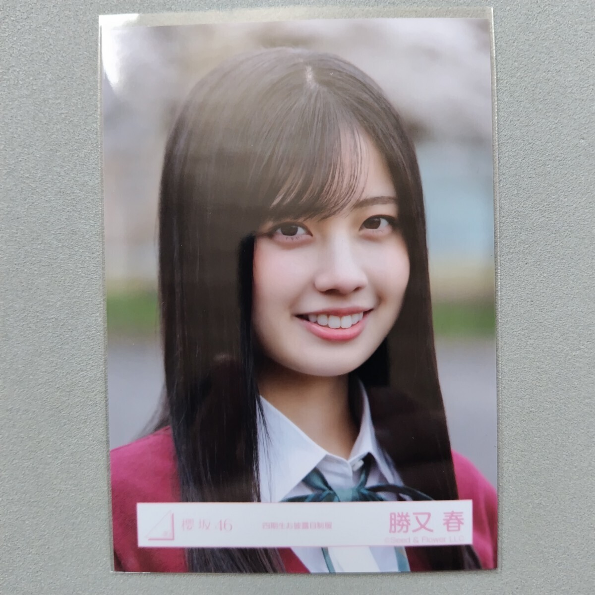 櫻坂46 勝又春 四期生お披露目制服 生写真 1(タレントグッズ)｜売買