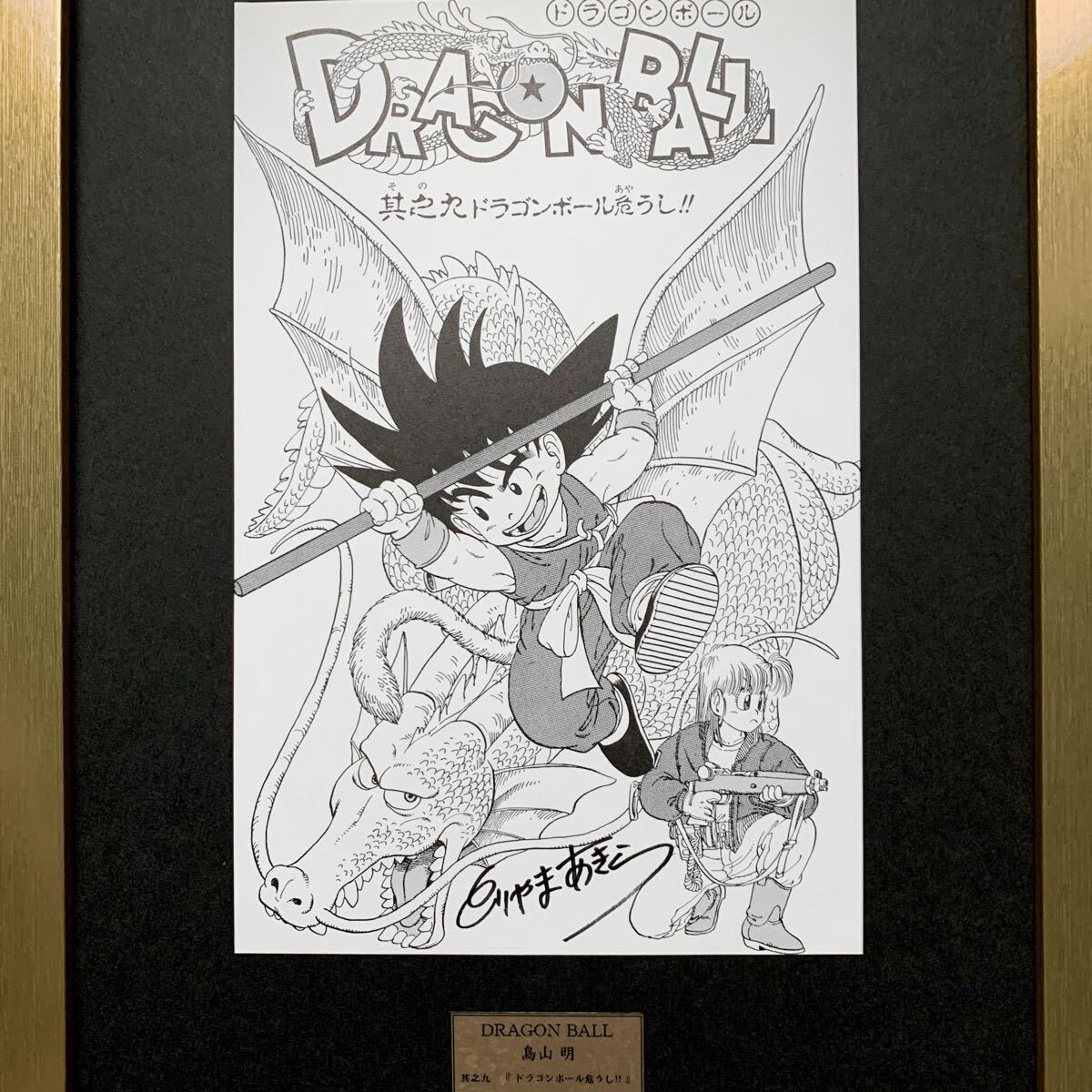 鳥山明 ドラゴンボール 扉絵イラスト【 其之九】直筆サイン入り 表紙絵 鳥山明 ドラゴンボール 扉絵イラスト【 其之九】直筆サイン入り 表紙絵