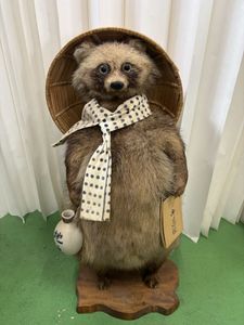 狸 剥製の値段と価格推移は？｜5件の売買データから狸 剥製の価値が