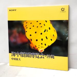 ハイビジョン LDのYahoo!オークション(旧ヤフオク!)の相場・価格を見る