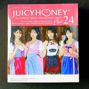 ジューシーハニーのYahoo!オークション(旧ヤフオク!)の相場・価格を