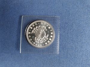 皇太子殿下御成婚 純銀の中古価格は10,477円｜記念硬貨の新品・中古の