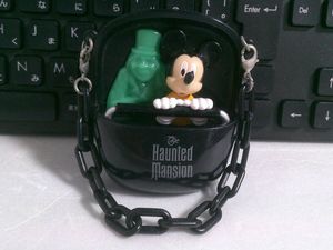 ディズニーランドホーンテッドマンションの値段と価格推移は？｜2件の