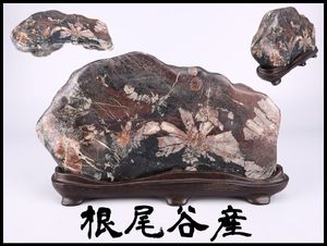 菊花石 岐阜県根尾谷産の値段と価格推移は？｜25件の売買データから