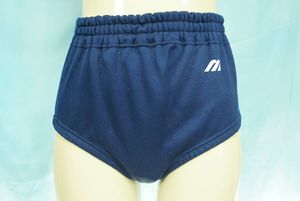 ミズノ ブルマーの値段と価格推移は？｜6件の売買データからミズノ