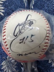 中村紀洋 サイン ボールの値段と価格推移は？｜3件の売買データから