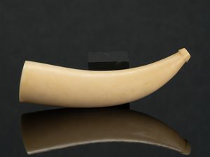 鯨歯 パイプの値段と価格推移は？｜15件の売買データから鯨歯 パイプの
