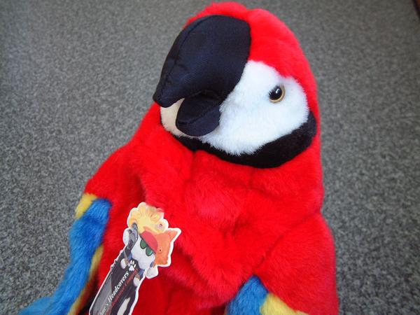 赤 オウム レッド New Daphne’s　460ｃｃ ヘッドカバー