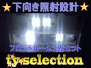 LEDフロントマップ4連＋ルームランプ8連白★17マジェスタ用★TYS