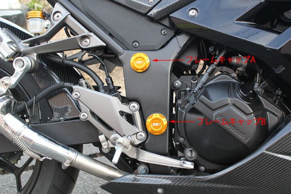 人気SALE SSK NINJA250R 08-12 フレームキャップB　左右セット ゴールド