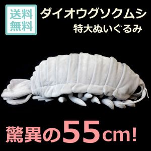 15年04月 ダイオウグソクムシのヤフオク の相場 価格を見る ヤフオク のダイオウグソクムシのオークション売買情報は27件が掲載されています