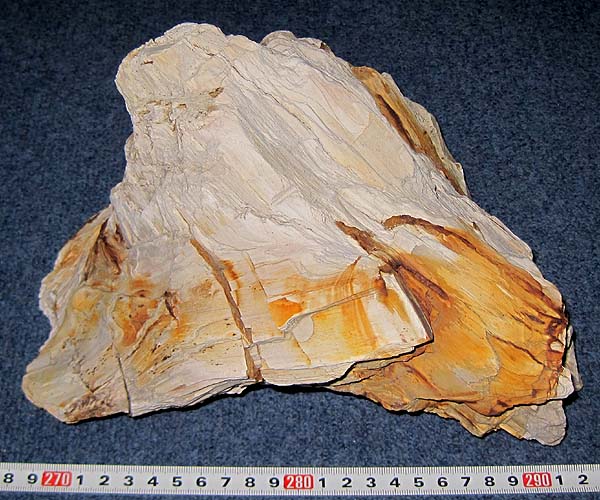 何かの化石2.6kg 6kg スレたアンモナイト 自然の美 化石 何かの化石2.6kg 6kg スレたアンモナイト 自然の美 化石