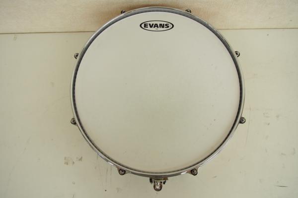 CANOPUS　スネア　M-1455 ■ 36619-1