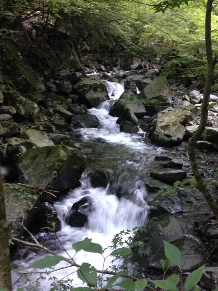 27年産 三重 山の湧水米(悟光米)コシヒカリ白米30kg