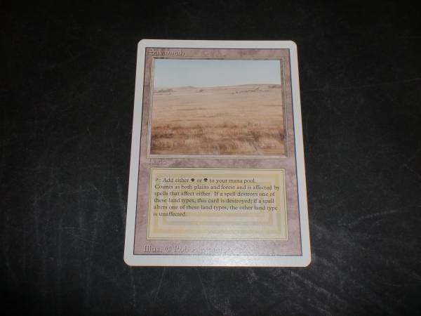 MTG Savannah 英語 ② 状態はNMになります 【公式通販】