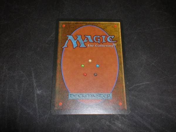 MTG Savannah 英語 ② 状態はNMになります 【公式通販】