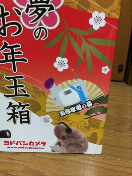 ヨドバシカメラ 美容健康家電の夢 2026 抜き取りあり ドライヤー