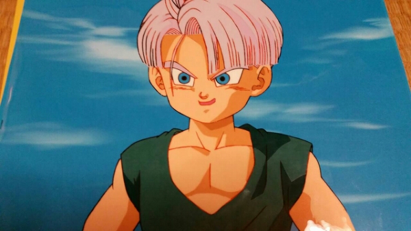 ドラゴンボール セル画147 た行 セル画 【公式通販】