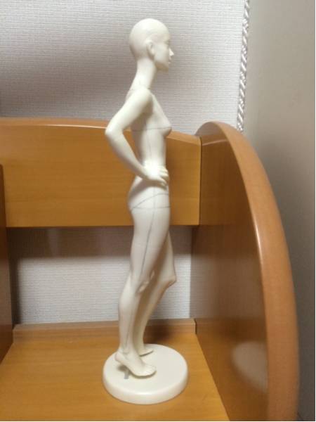 【希少】La CORPA ラ・コルパ 1/6 リアルマネキンファッションデザイン LaCORPA ラコルパ マネキン 1/6立体ヌードモデル デザイン人形(アート