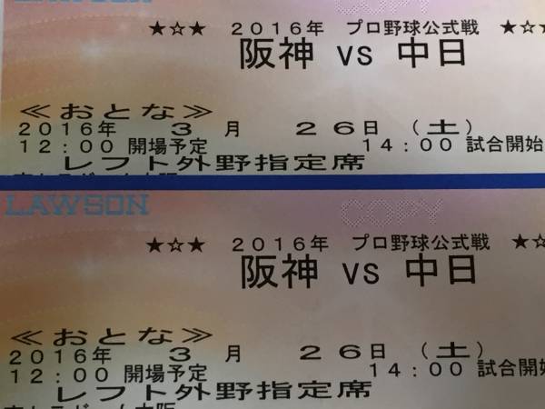 3月26日レフト外野下段指定席ペア