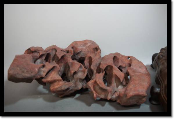 観賞石　盆石　茶室　盆栽　中国美術　煎茶道具　床飾り　_3