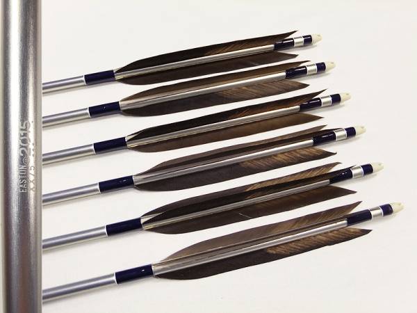 ✿【弓道】黒鷲のジュラ矢（中古品）2015 EASTON さらっ XX75 とおまけ✿
