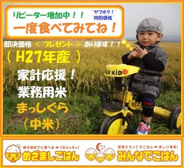 定番人気，送料無料 97 青森からお届け 家計応援 お得米 白米 30 KG(その他)｜売買されたオークション情報、yahooの商品情報をアーカイブ公開 - オークファン その他