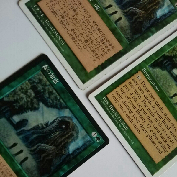 MTG 森の知恵 日2枚、英1枚