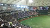 ◆通路近◆１枚◆5/7(土) 巨人vs中日 ビジター外野応援