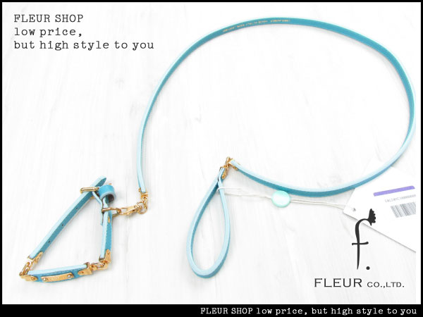 ■Y2899■7.5万 イタリア製 DSQUARED2 本革 犬猫用 首輪＆リード