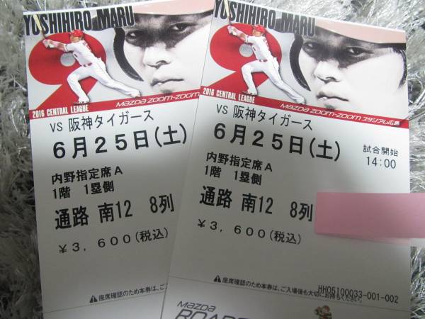6/25 広島対阪神 内野指定席A　１階