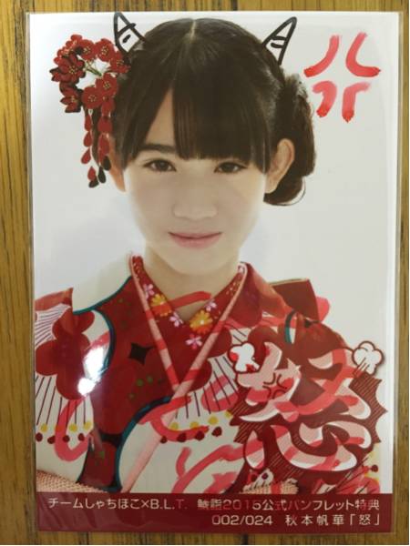 チームしゃちほこ 2026年最新Yahoo!オークション サインの中古品 TEAM