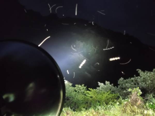 d1062981851.1