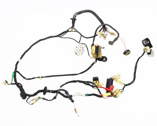 専用☆ シャリー50 12V CF50 ハーネス CDI レギュレーター 電装一式【80 車両