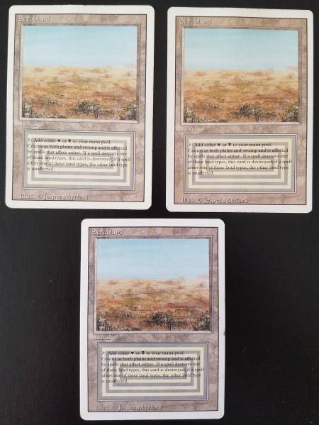 scrubland ☆MTG・英語版・リバイズド・Scrubland 3枚セット