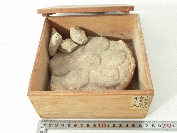 NK004s■貴重資料 大和出土品 白鳳時代/古瓦 連弁瓦 軒丸瓦 蓮弁