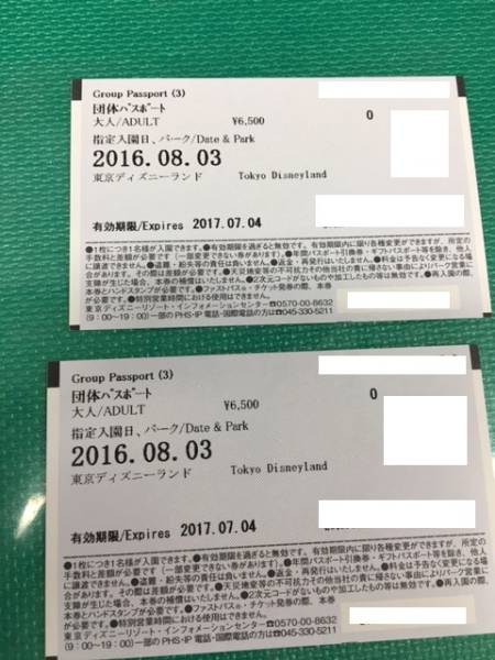 東京ディズニーランド ペア チケット 2枚 8月3日 パスポート TDS