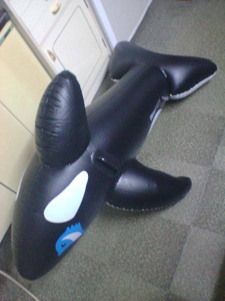 でっかい！！うきうきイルカ　ポンプ付　新品、未使用品