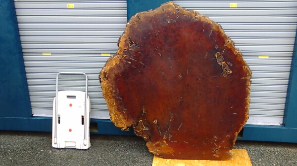 特大 時代古木 花梨 瘤木 葡萄杢 一枚板 敷板 座卓台 