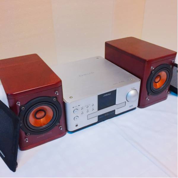 ビクター ウッドコーンスピーカー CA-EXAK1 DVDレシーバー Victor CA