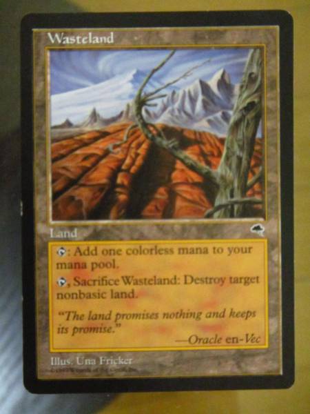 テンペスト 不毛の大地 英語版1枚