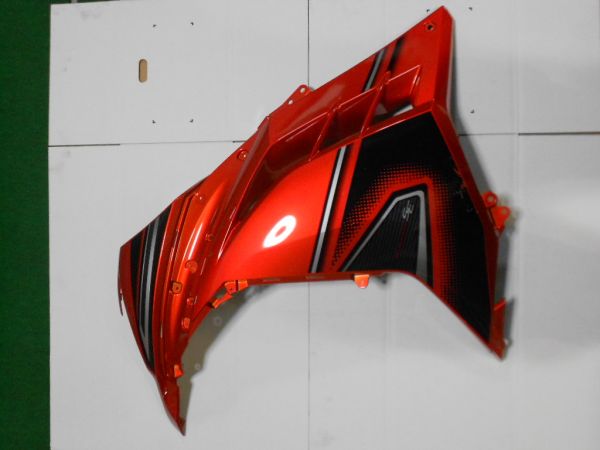 Ninja250R(EX250K)純正サイドカウルLスペシャルエデション オートバイ